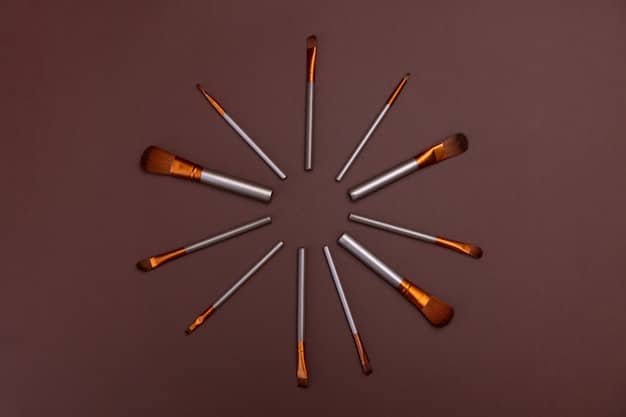 The Best Face Makeup Brushes for Beginners: US Guide